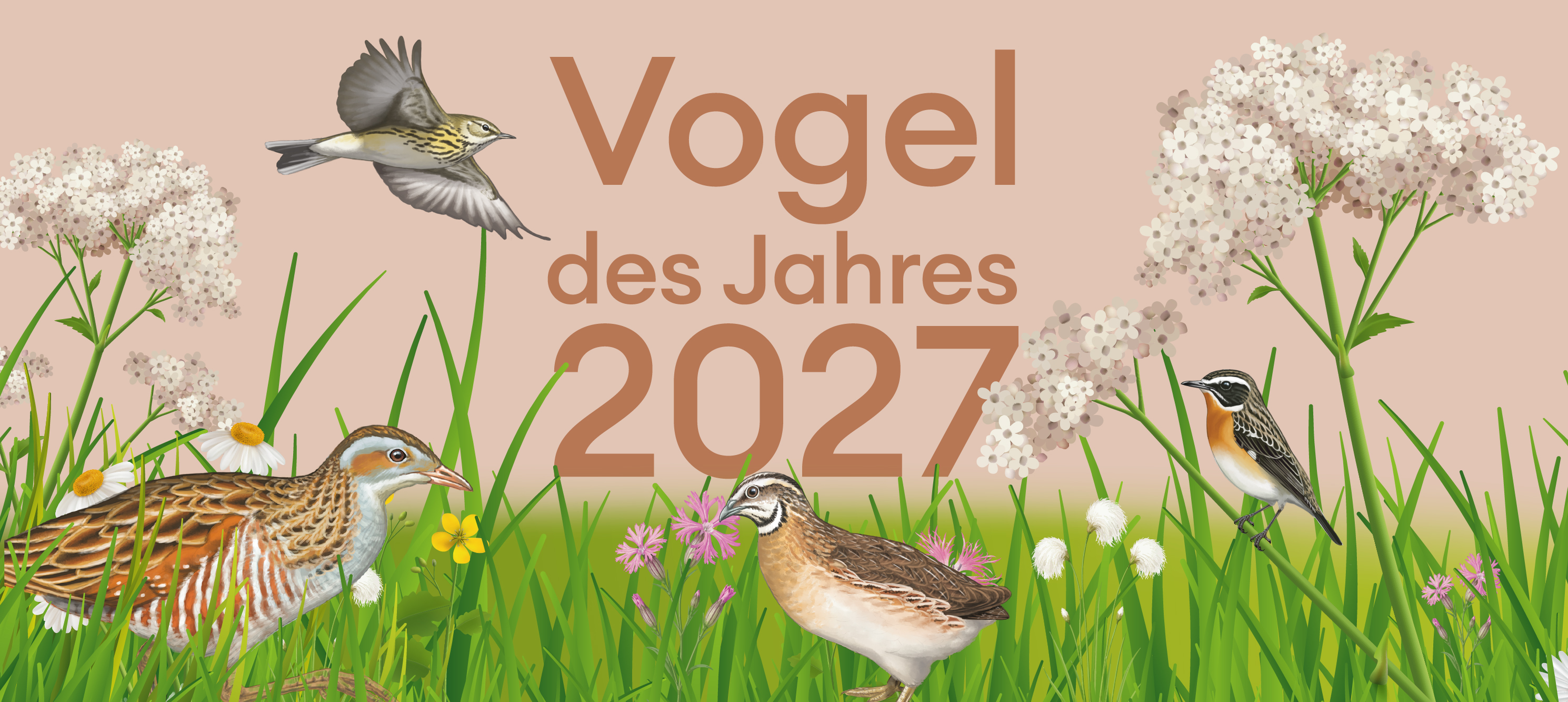 Vogel des Jahres 2027