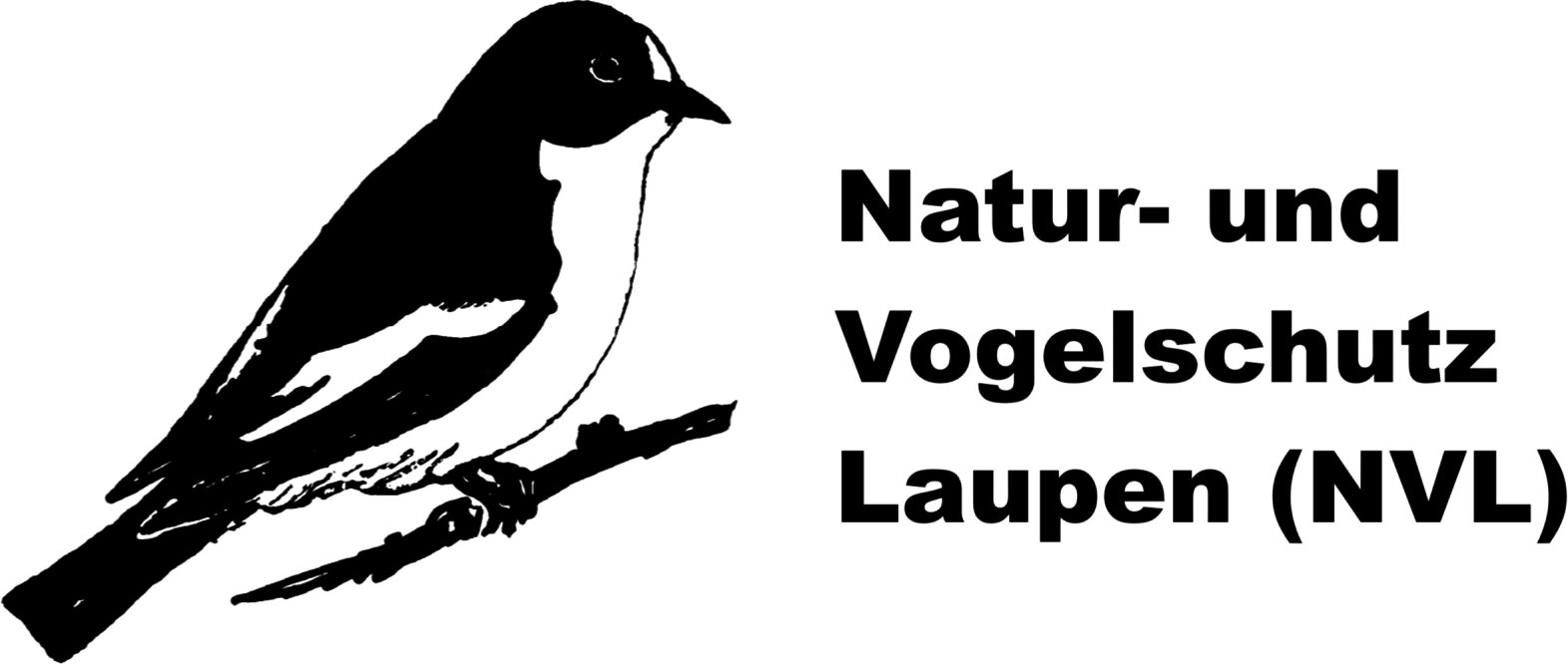 Logo NVL