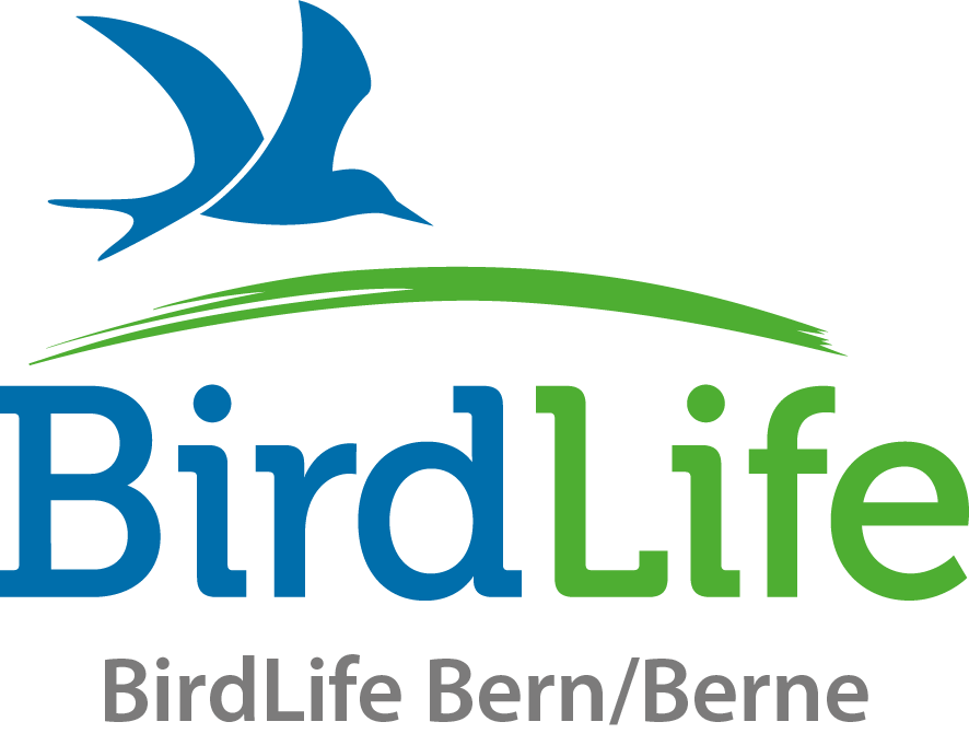 Birdlife Bern