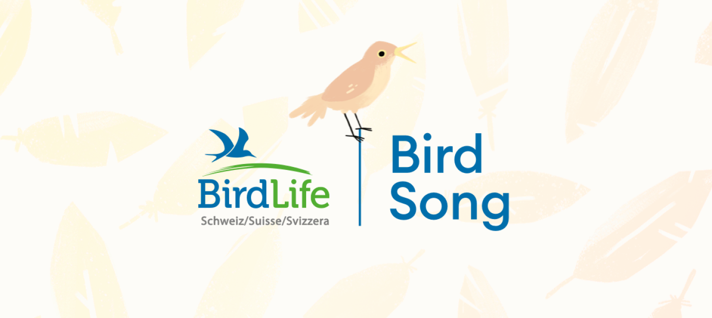https://bird-song.ch/